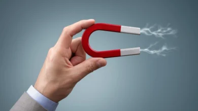 جذابیت مغناطیسی